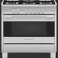 36" Contemporary Gas Range, 5 Burner, with Hob Rail, Stainless Steel